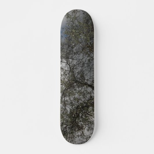 SKATEBOARD STIJL EN DESIGN (Voorkant)