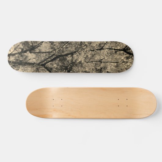 SKATEBOARD STIJL EN DESIGN (Horizontaal)