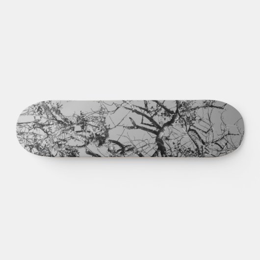 SKATEBOARD STIJL EN DESIGN (Horizontaal)