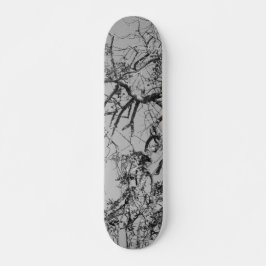 SKATEBOARD STIJL EN DESIGN