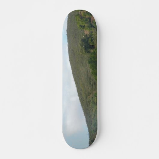 SKATEBOARD STIJL EN DESIGN (Voorkant)