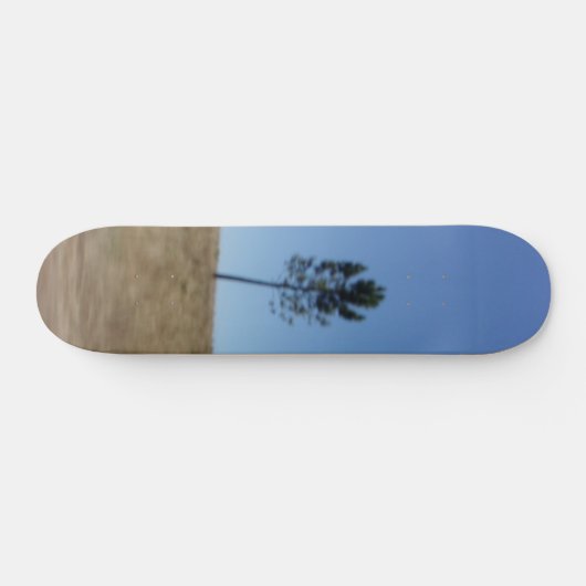 SKATEBOARD STIJL EN DESIGN (Horizontaal)