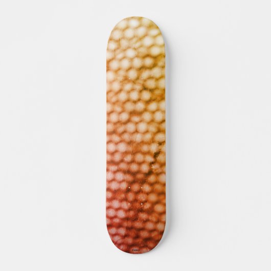 SKATEBOARD STIJL EN DESIGN (Voorkant)