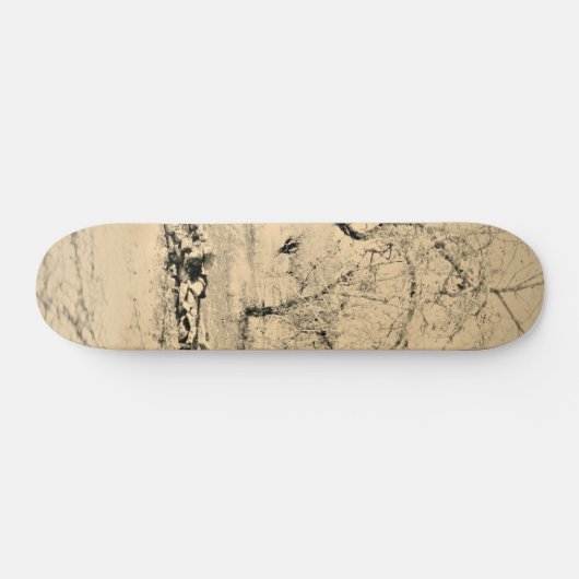 SKATEBOARD STIJL EN DESIGN (Horizontaal)