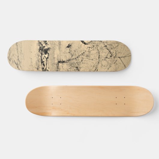 SKATEBOARD STIJL EN DESIGN (Horizontaal)