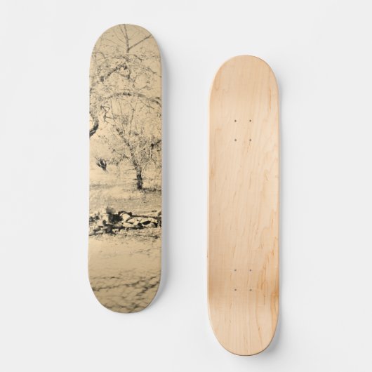 SKATEBOARD STIJL EN DESIGN (Voorkant)
