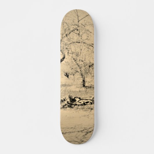 SKATEBOARD STIJL EN DESIGN (Voorkant)
