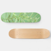 SKATEBOARD STIJL EN DESIGN (Horizontaal)