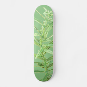 SKATEBOARD STIJL EN DESIGN