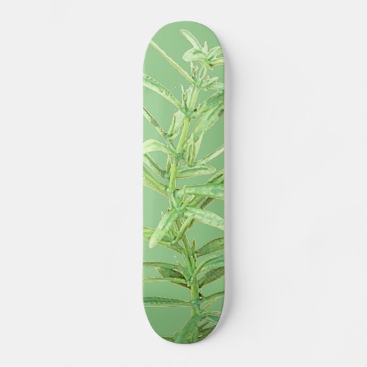SKATEBOARD STIJL EN DESIGN (Voorkant)