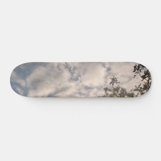 SKATEBOARD STIJL EN DESIGN (Horizontaal)