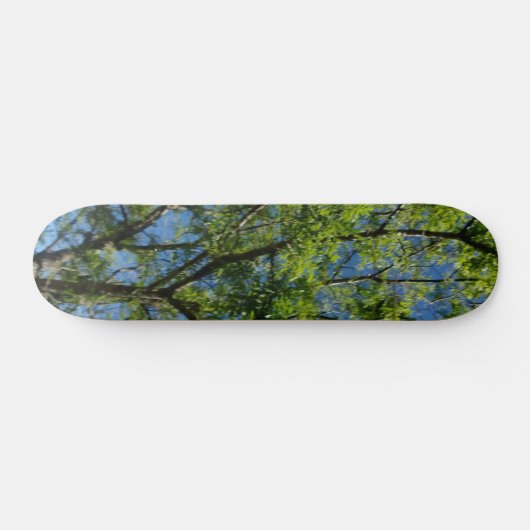 SKATEBOARD STIJL EN DESIGN (Horizontaal)