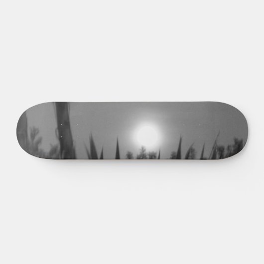 SKATEBOARD STIJL EN DESIGN (Horizontaal)
