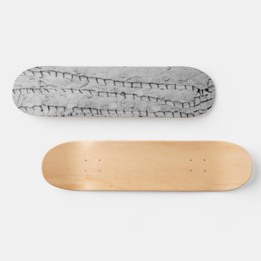 SKATEBOARD STIJL EN DESIGN (Horizontaal)