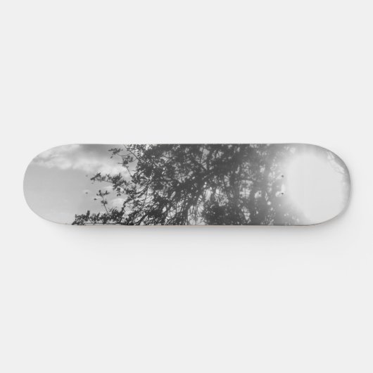 SKATEBOARD STIJL EN DESIGN (Horizontaal)