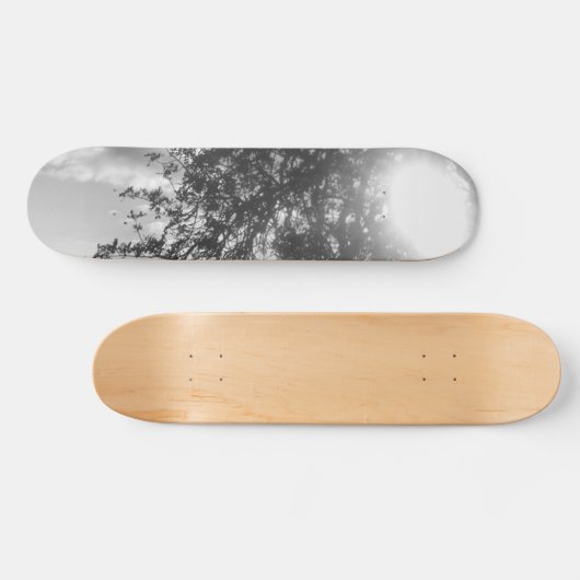 SKATEBOARD STIJL EN DESIGN (Horizontaal)