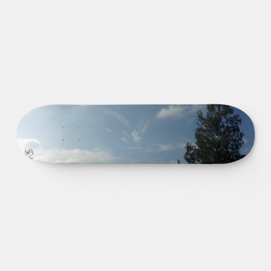 SKATEBOARD STIJL EN DESIGN (Horizontaal)