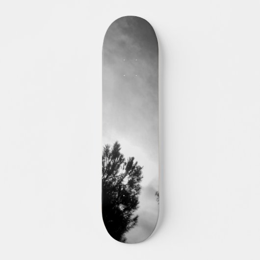 SKATEBOARD STIJL EN ONTWERP (Voorkant)