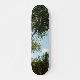 SKATEBOARD STIJL EN ONTWERP