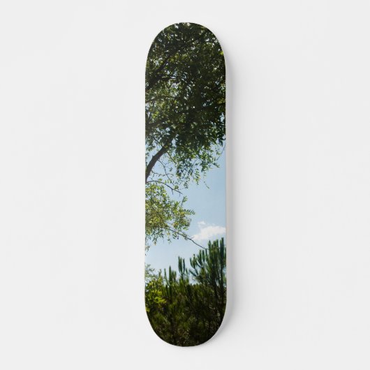 SKATEBOARD STIJL EN ONTWERP (Voorkant)