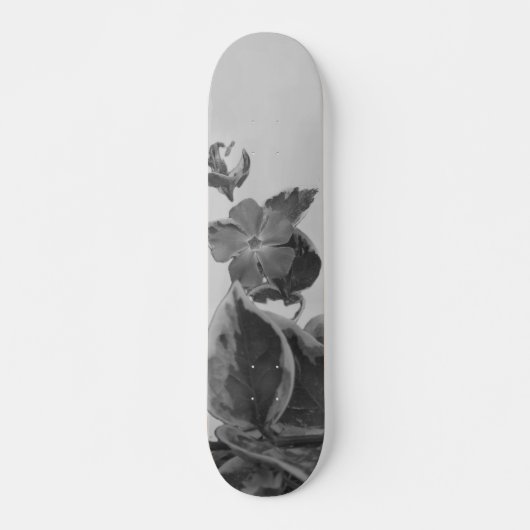 SKATEBOARD STIJL EN ONTWERP (Voorkant)