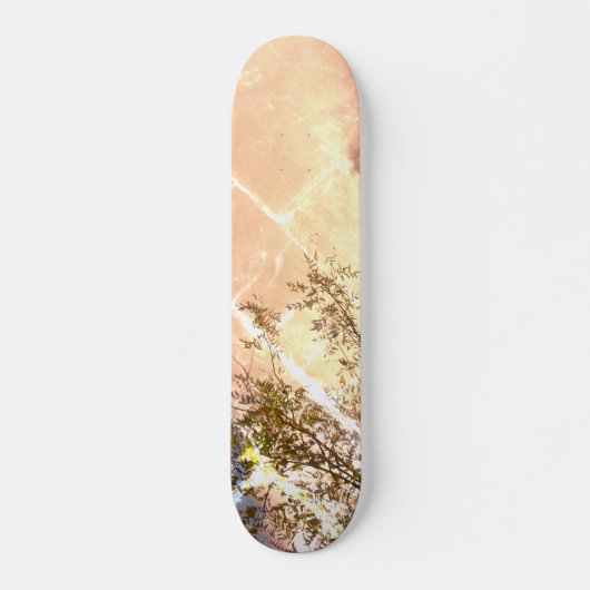 SKATEBOARD STIJL EN ONTWERP (Voorkant)