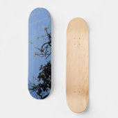 SKATEBOARD STIJL EN ONTWERP (Voorkant)