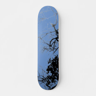 SKATEBOARD STIJL EN ONTWERP
