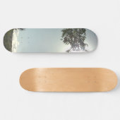 SKATEBOARD STIJL EN ONTWERP (Horizontaal)