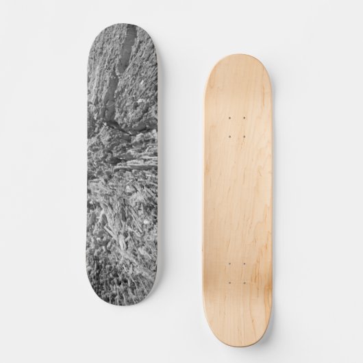 SKATEBOARD STIJL EN ONTWERP (Voorkant)