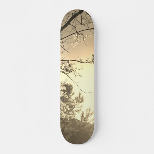 SKATEBOARD STIJL EN ONTWERP (Voorkant)