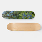 SKATEBOARD STIJL EN ONTWERP (Horizontaal)