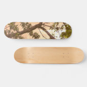 SKATEBOARD STIJL EN ONTWERP (Horizontaal)