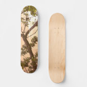 SKATEBOARD STIJL EN ONTWERP (Voorkant)