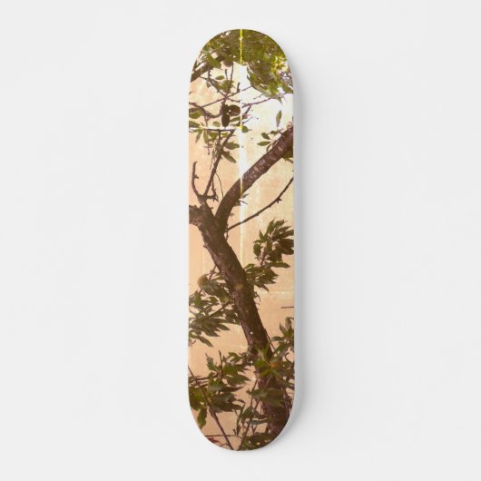SKATEBOARD STIJL EN ONTWERP (Voorkant)