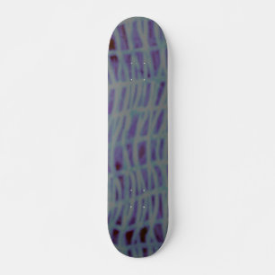 SKATEBOARD STIJL EN ONTWERP