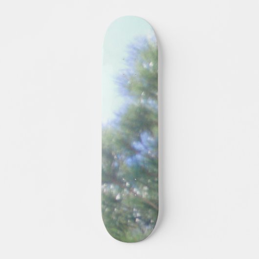 SKATEBOARD STIJL EN ONTWERP (Voorkant)