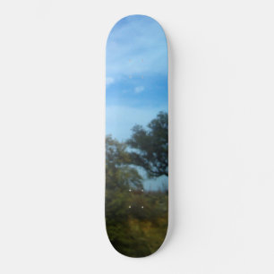 SKATEBOARD STIJL EN ONTWERP