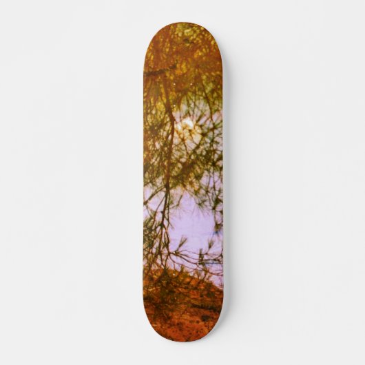 SKATEBOARD STIJL EN ONTWERP (Voorkant)