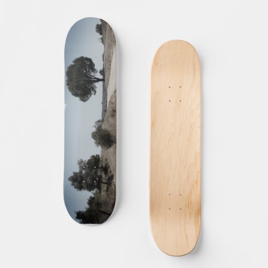SKATEBOARD STIJL ONTWERP (Voorkant)