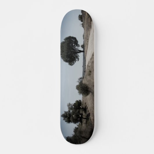 SKATEBOARD STIJL ONTWERP (Voorkant)