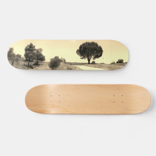 SKATEBOARD STIJL ONTWERP (Horizontaal)