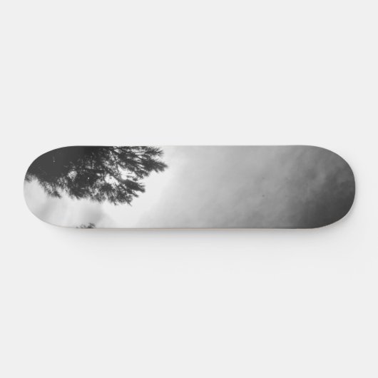 SKATEBOARD STYLE AND DESIGN (Horizontaal)