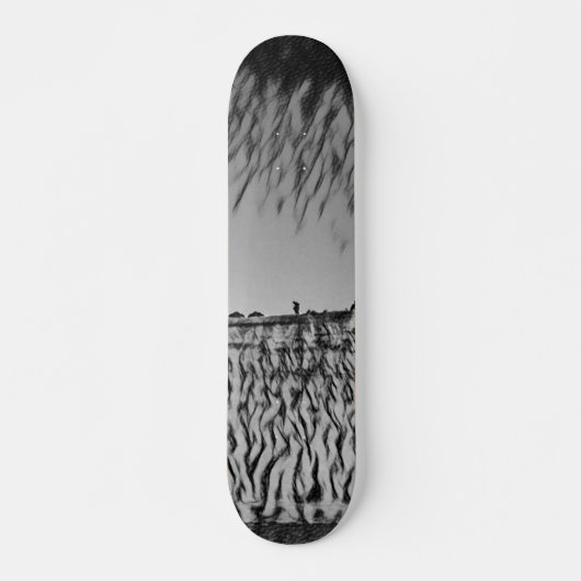 SKATEBOARD STYLE AND DESIGN (Voorkant)