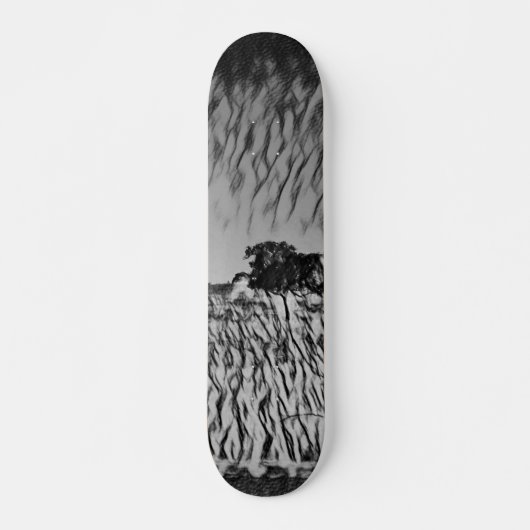 SKATEBOARD STYLE AND DESIGN (Voorkant)