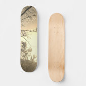 SKATEBOARD STYLE AND DESIGN (Voorkant)