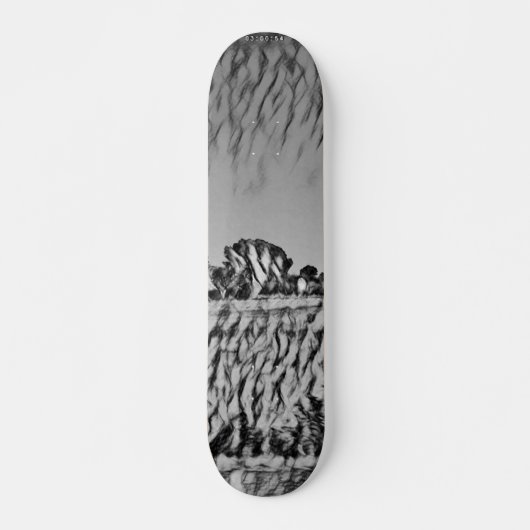SKATEBOARD STYLE AND DESIGN (Voorkant)