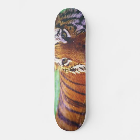 Skateboard Tiger (Voorkant)