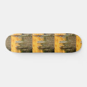 skateboard van aspen (Horizontaal)