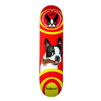 skateboard van Boston Terrier Mirabelle